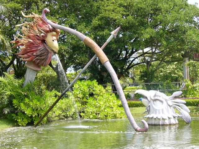 bird battle